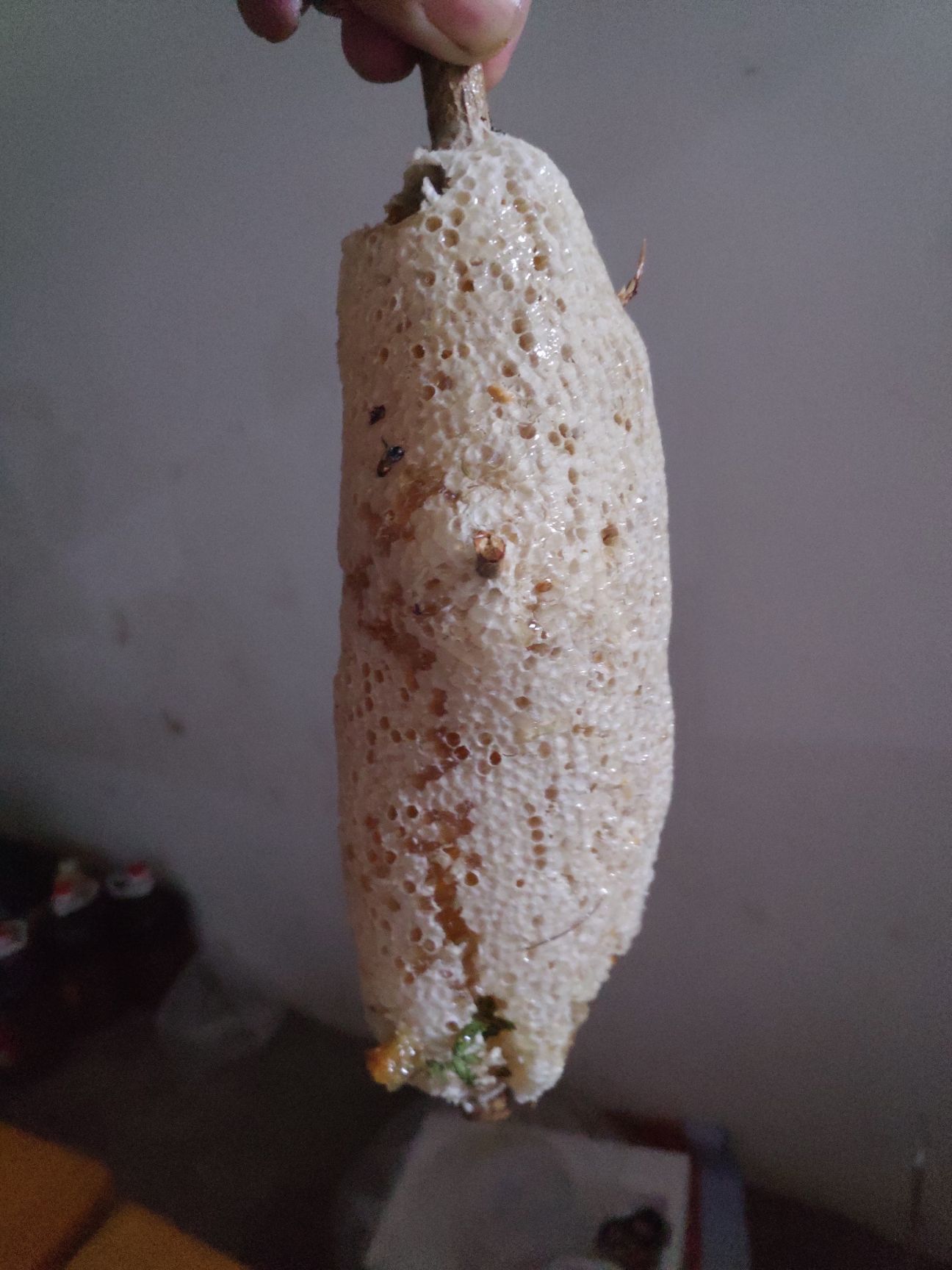 野生蜂蜜 散装 98% 2年以上 