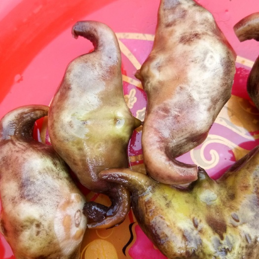 洋县水红菱 体大色鲜，肉质鲜美，营养含量高