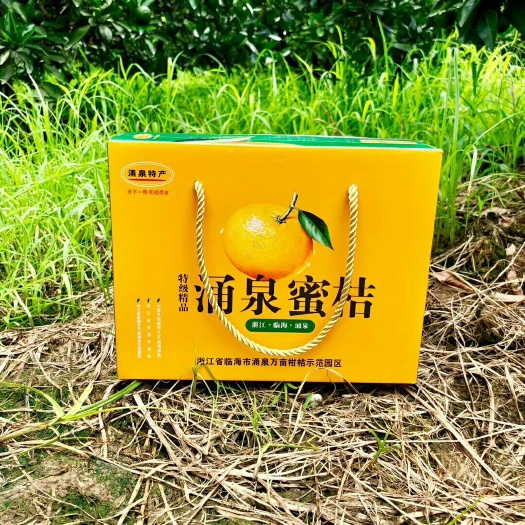 临海市涌泉蜜桔 7 - 7.5cm 1 - 1.5两 