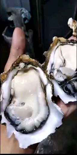 佛山深海海鲜