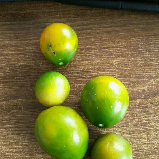 全州县脆皮金桔 3-4cm 1两以下