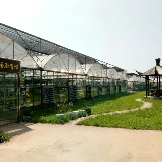 青州市PC板温室大棚