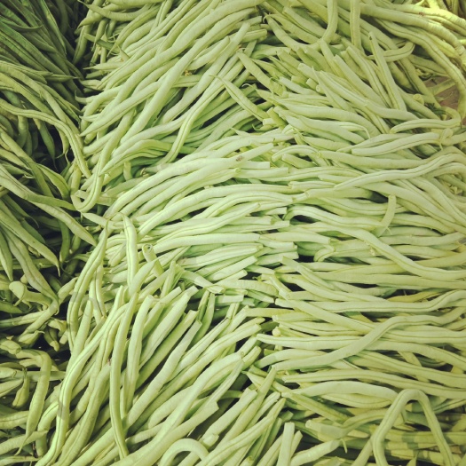 南乐县架豆王豆角 20cm以上 不打冷