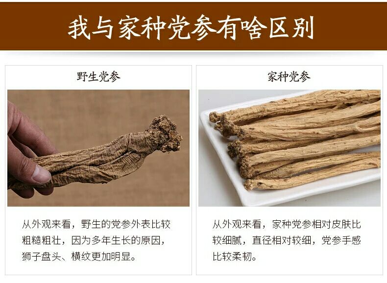 纹党参  党参批发质量保证多年生长党参