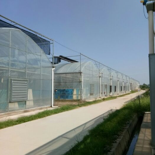青州市连栋棚