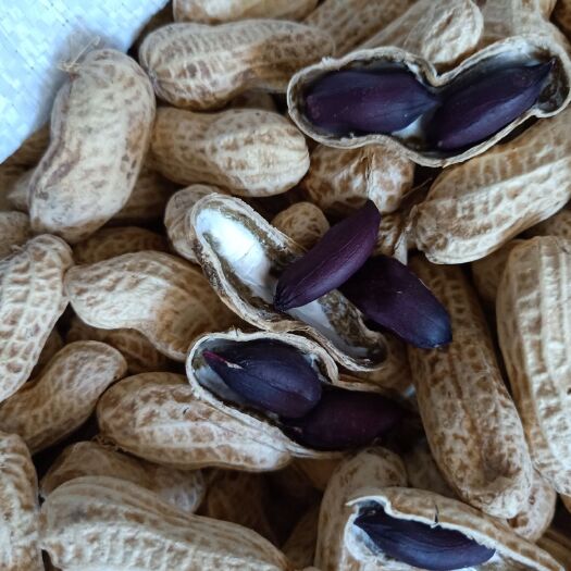 金堂县优质手工精选黑花生颗粒包满