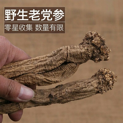 宕昌县纹党参  党参批发质量保证多年生长党参