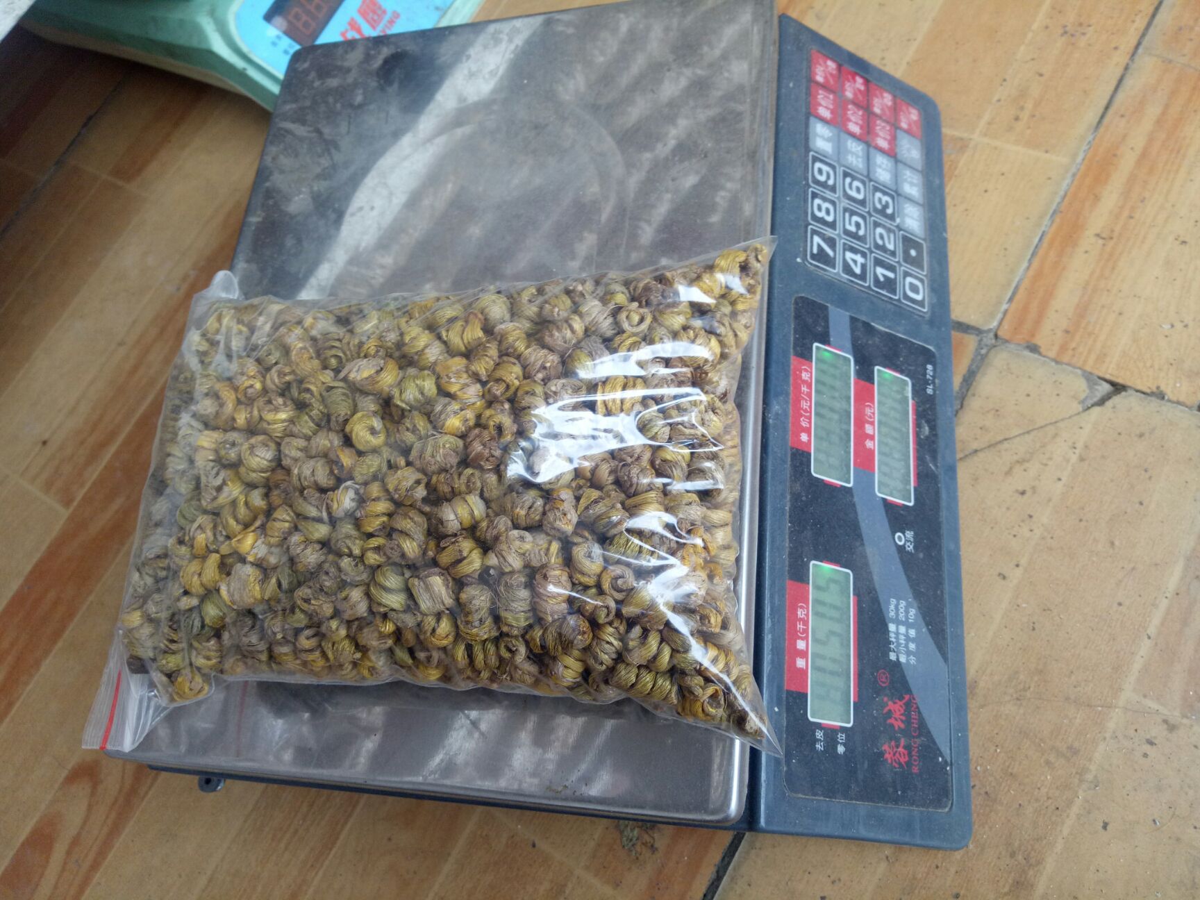 铁皮石斛