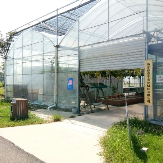 青州市连栋棚