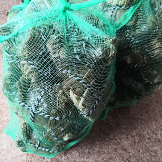 常州生态大闸蟹 3.5-4.0两 公蟹