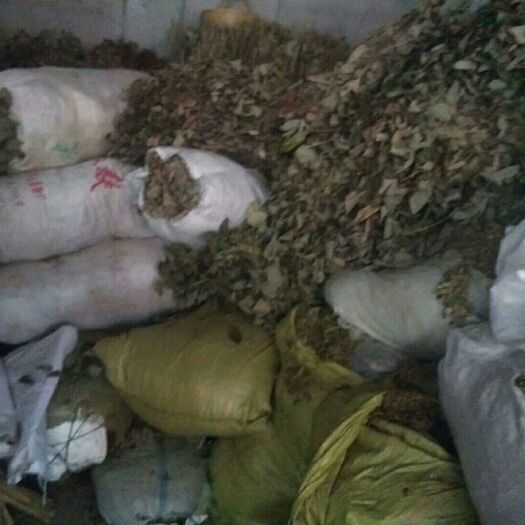 丹江口市淫羊藿