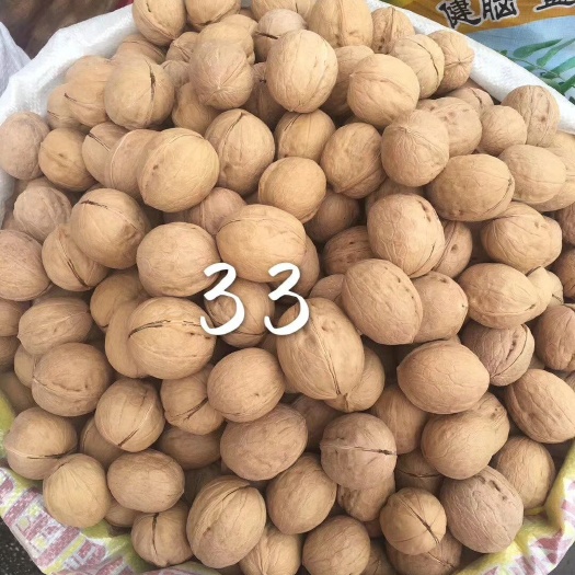 郑州新货纯薄皮核桃，一碰即开，纯大个33核桃