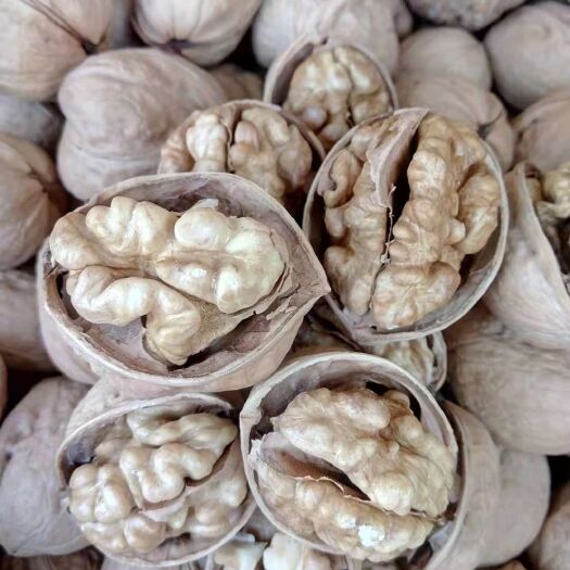 沧县新疆185核桃 