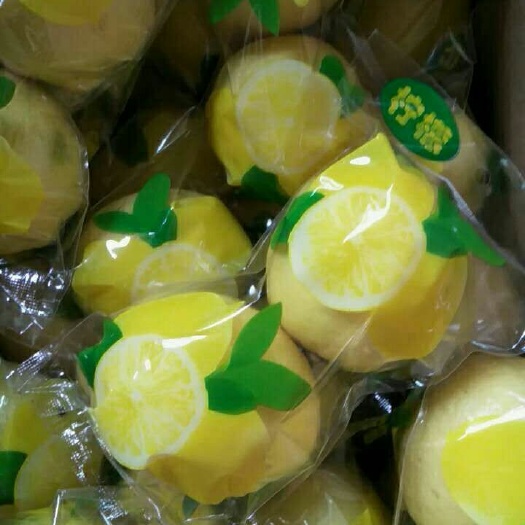 安岳县尤力克柠檬  安岳尤力克黄柠檬一二级中小果双胞胎包装批发零售