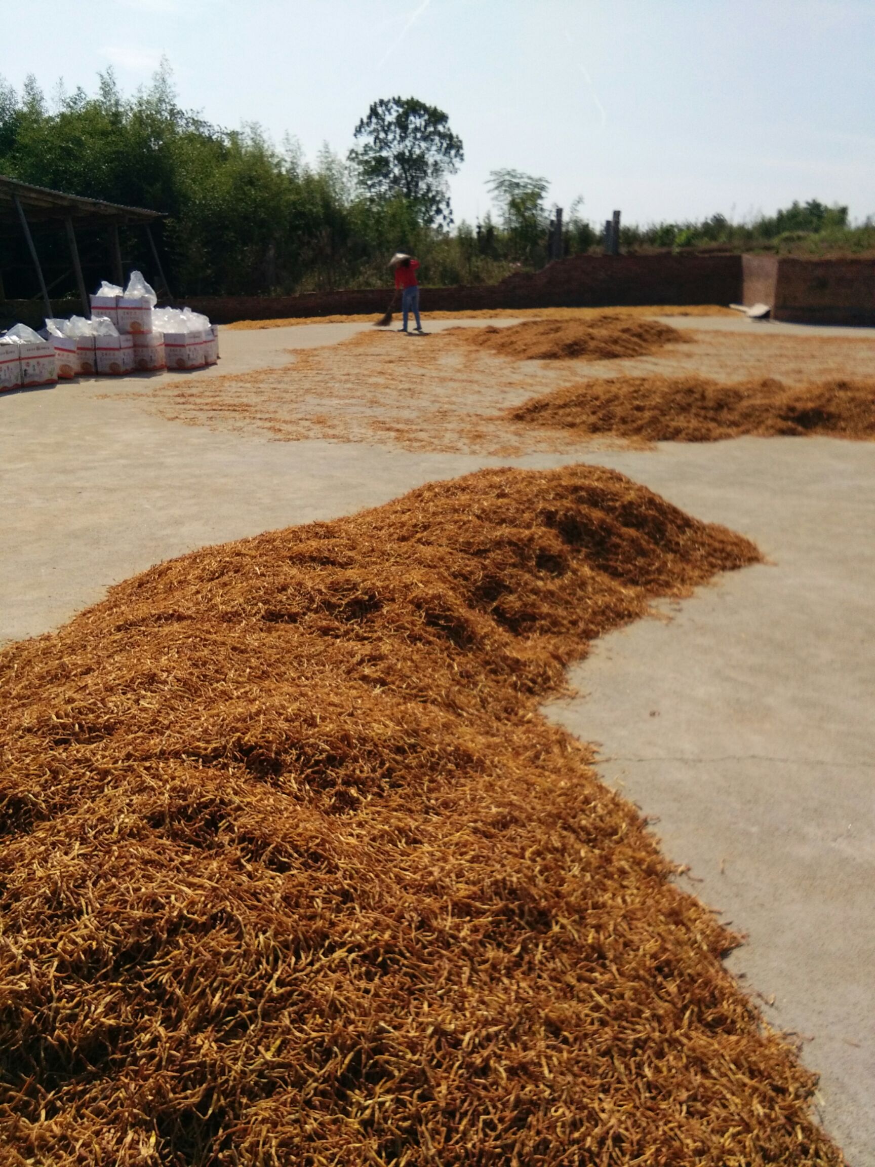 祁东黄花菜 袋装 一级 