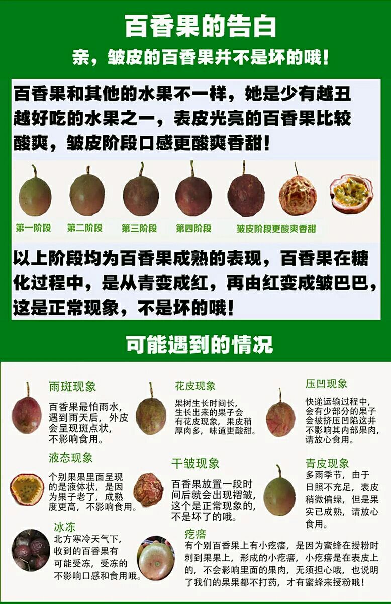 紫香一号百香果 70 - 80克