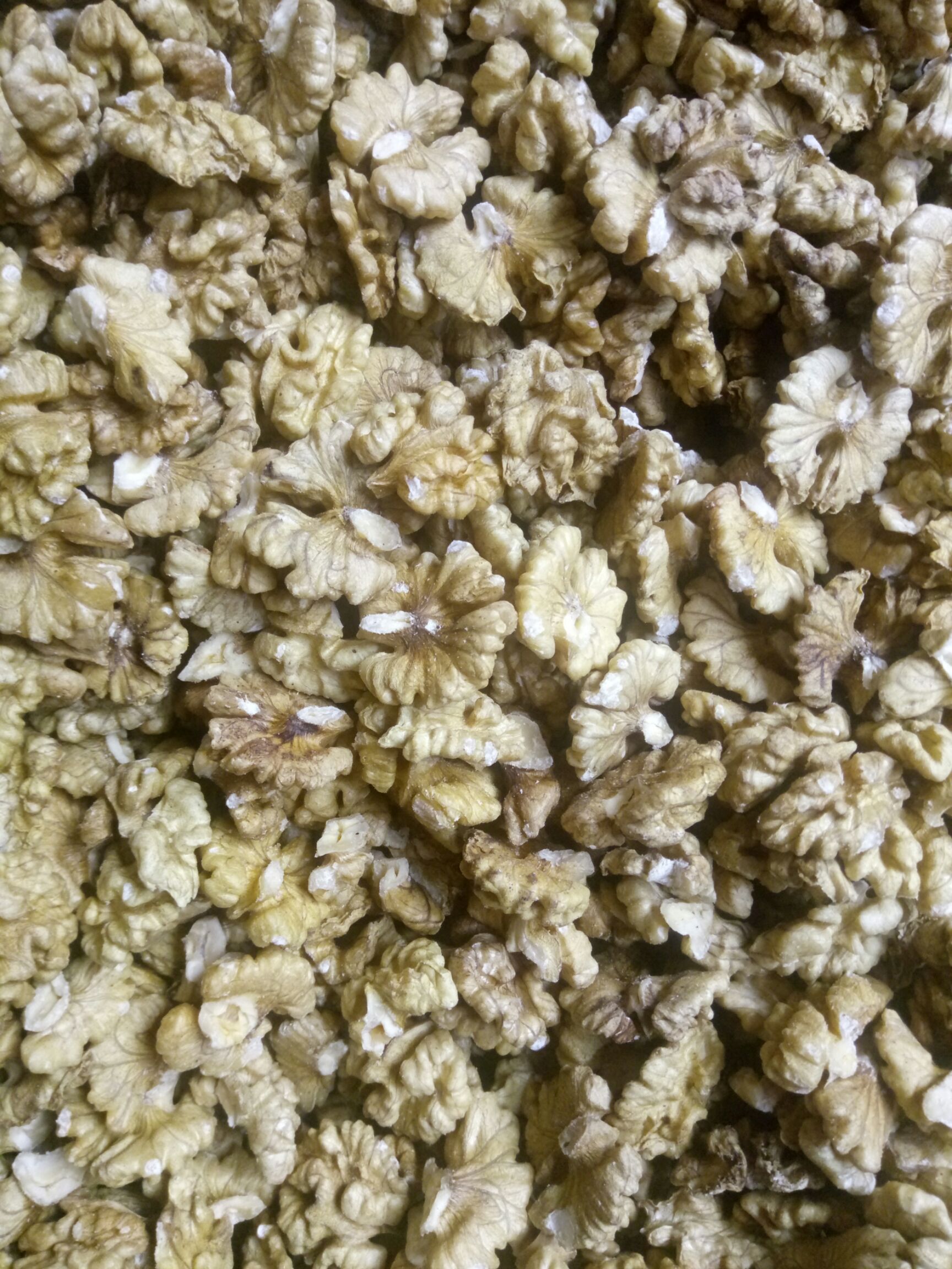 核桃仁 24个月以上