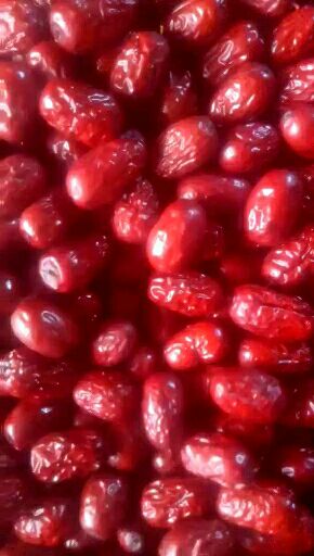 灰枣  新疆红枣若羌红枣厂家供应电商可代发价低质量好