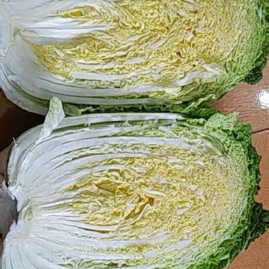 肇州县东北黄心大白菜