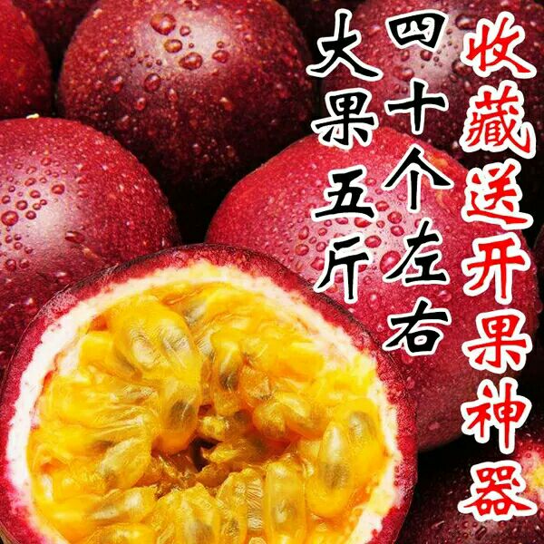 紫香一号百香果 70 - 80克