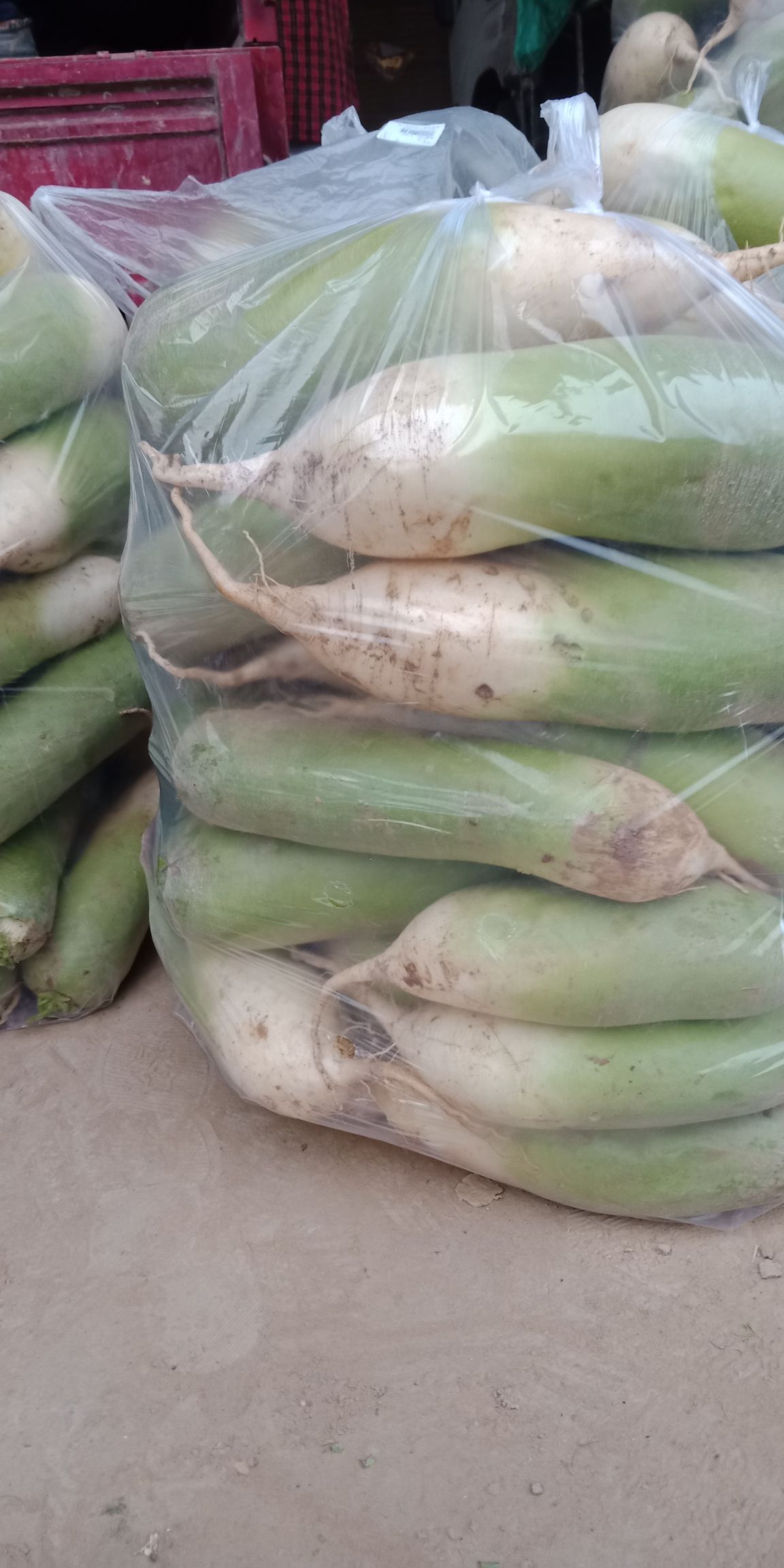 青皮萝卜 1.5~2斤 