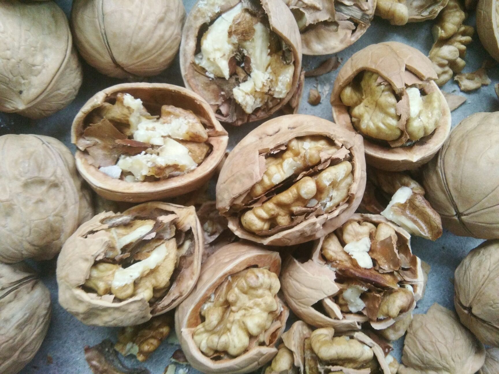 薄皮核桃  【24年新货 】爆款 ！ 新疆薄皮 、纸皮核桃，