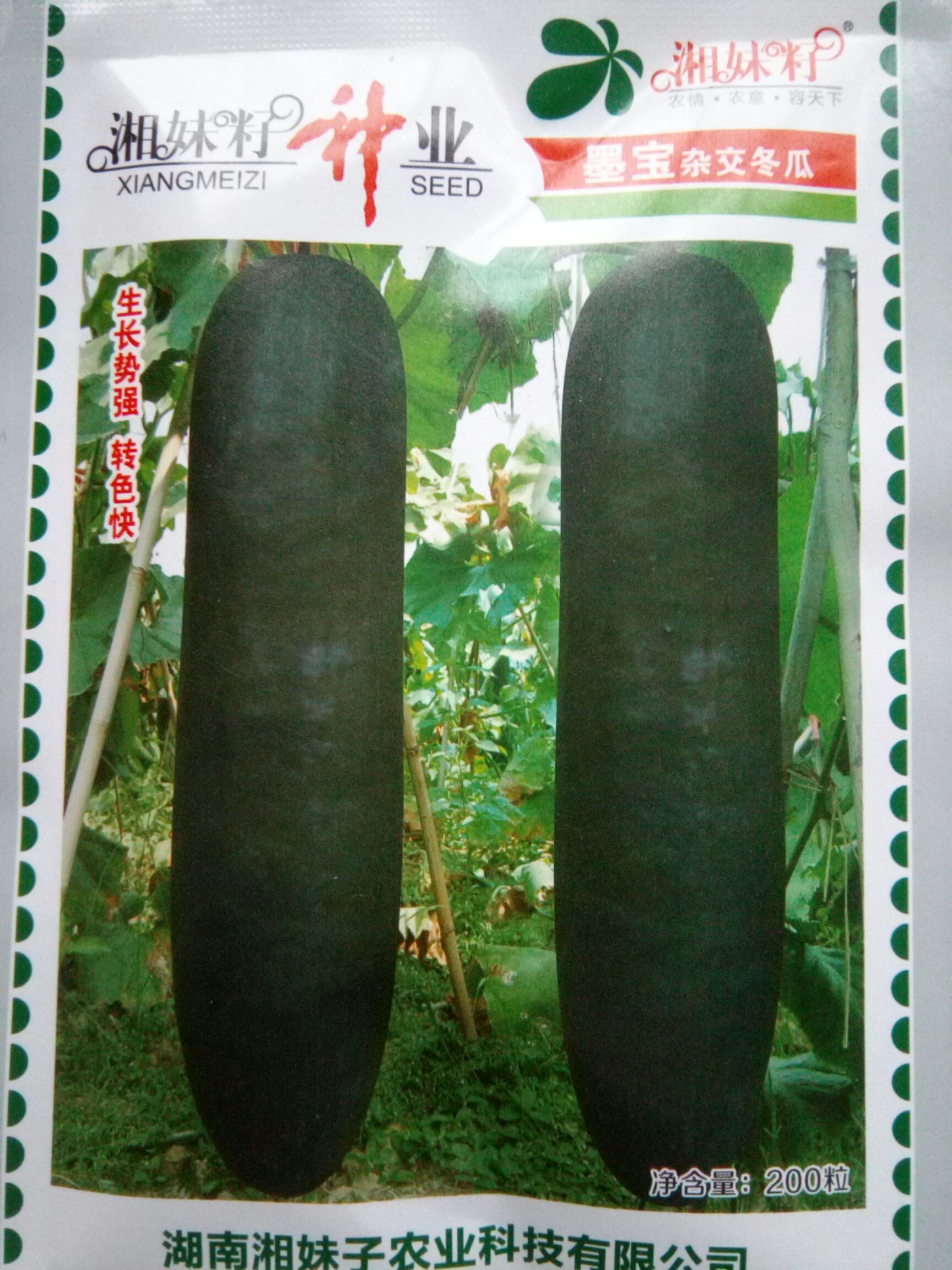 冬瓜种子 大田用种 ≥60%