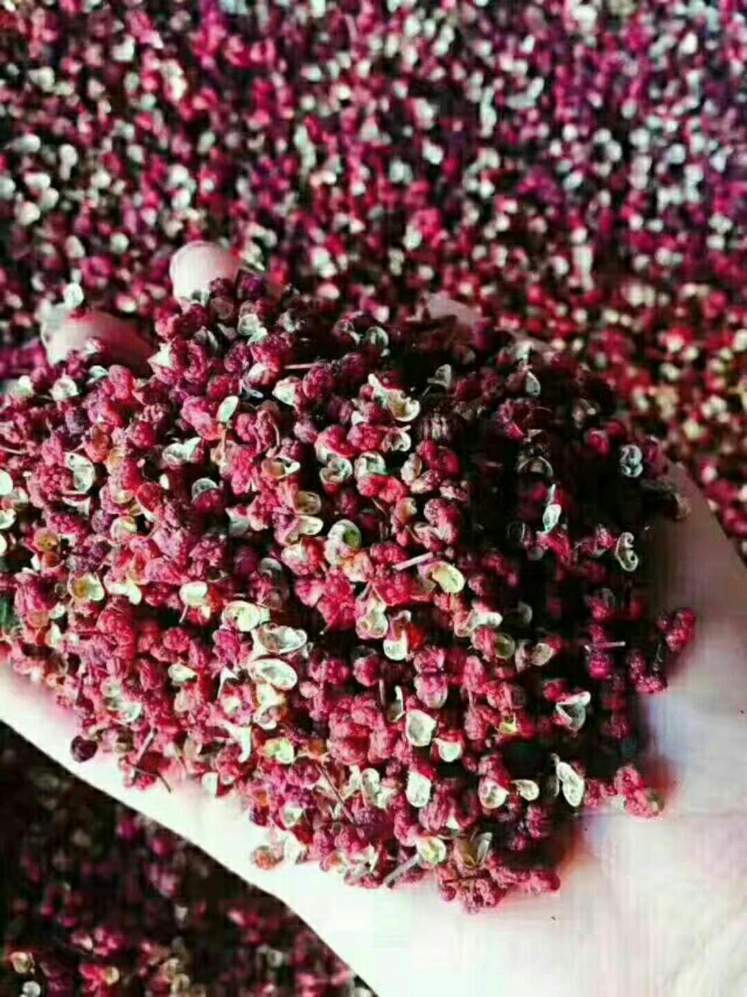 红花椒  陇南花椒 武都大红袍 红麻椒 包邮 批发