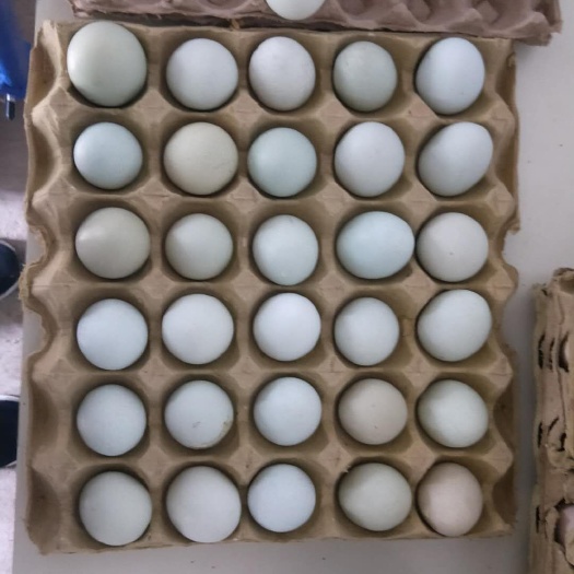 平凉绿壳鸡蛋 食用 箱装