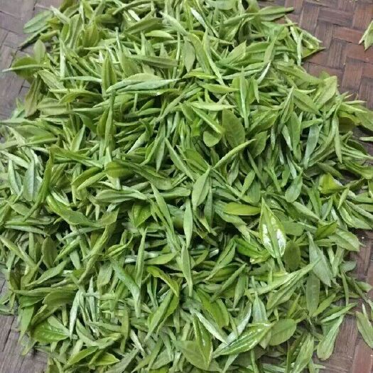 桂东县云雾茶 袋装 二级 