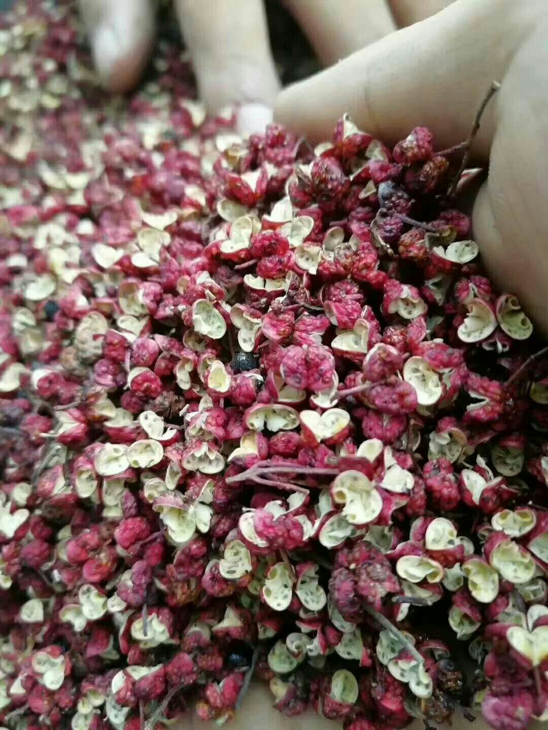 红花椒  武都花椒  大红袍 红麻椒  包邮