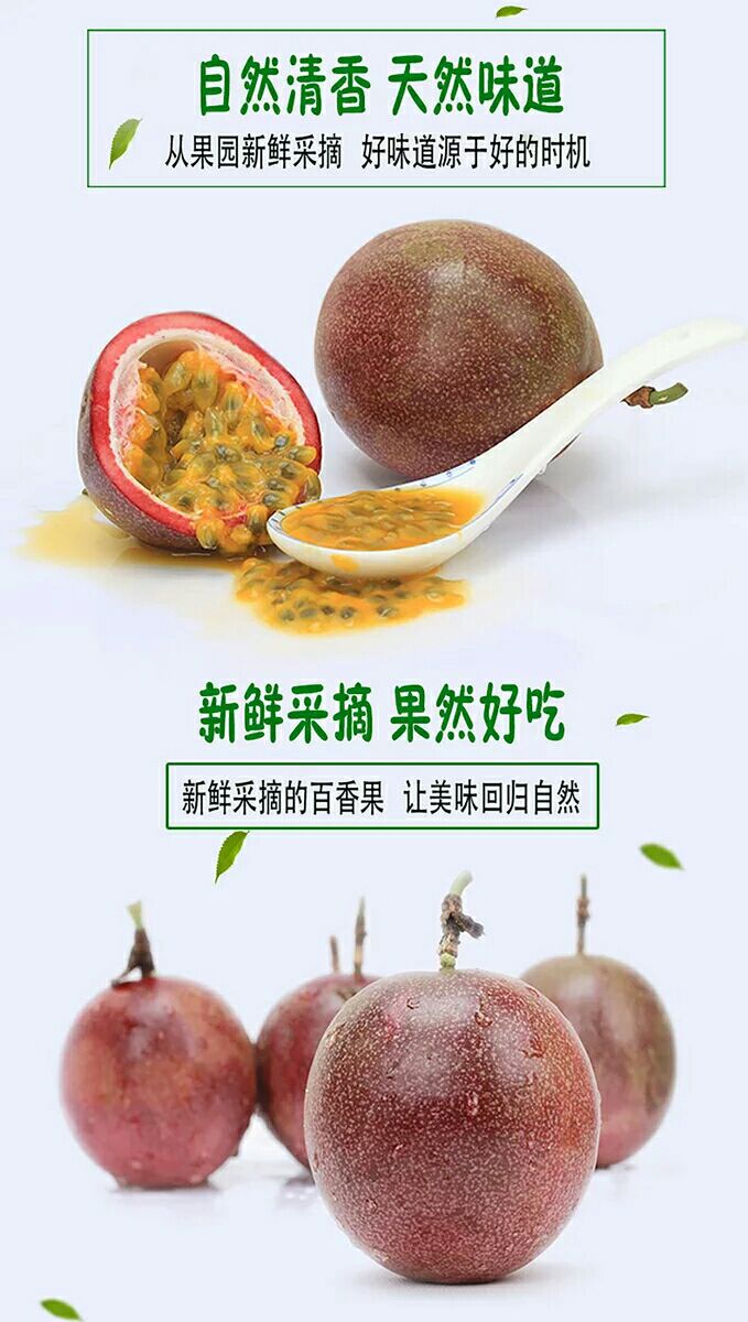 紫香一号百香果 70 - 80克