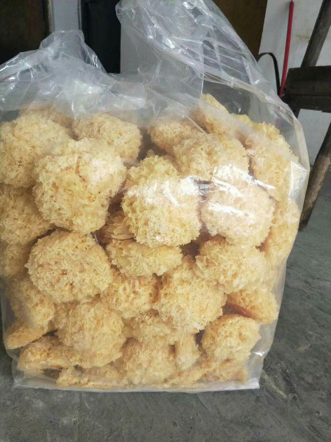 古田银耳 朵状银耳 干银耳