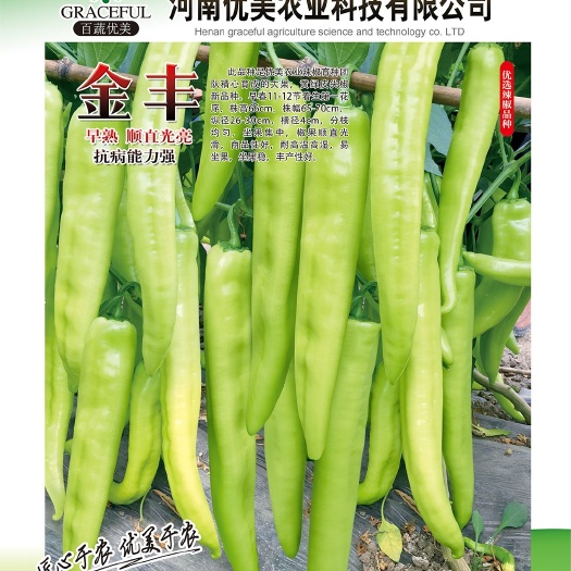 商水县羊角椒种子 97%以上 杂交种