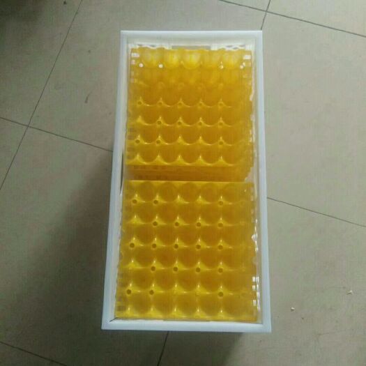 济宁塑料筐