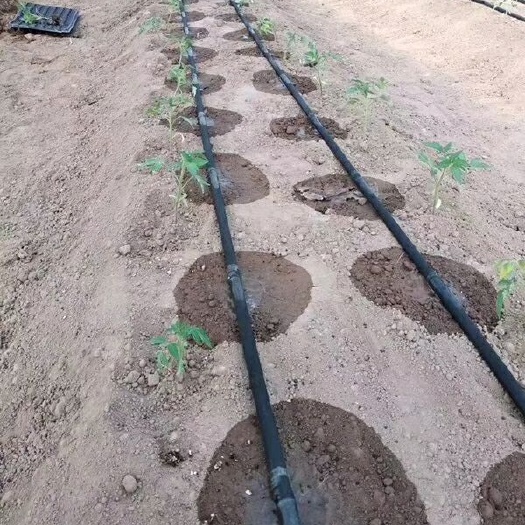 鄄城县迷宫式滴灌带