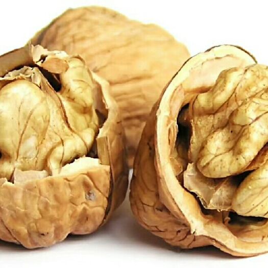 万荣县薄皮核桃 