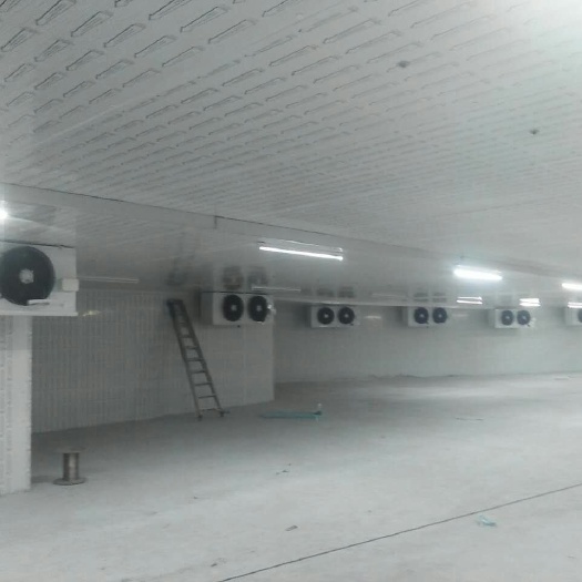 东莞市冷藏库租赁