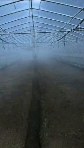 鄄城县吊挂微喷头