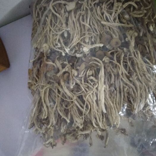 广昌县广昌3号茶树菇 6~8cm 未开伞 干茶树菇