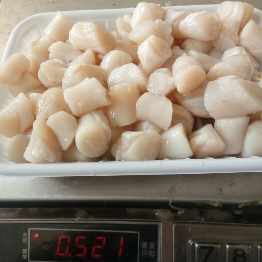 昌黎县冷冻扇贝肉 扇贝丁