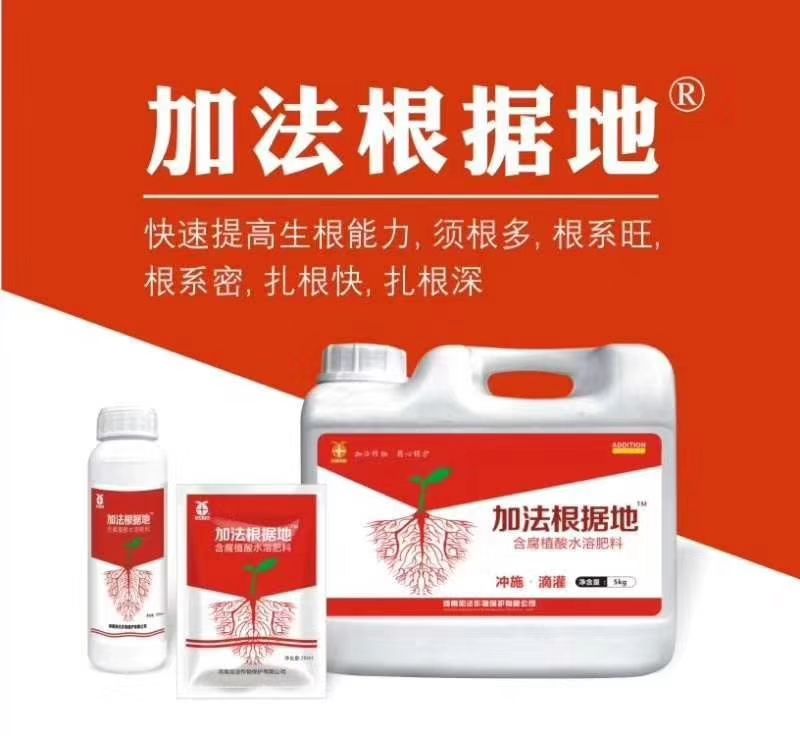 腐植酸 生根壮苗，迅速次生毛细根，主根吸水分，毛根吸养分