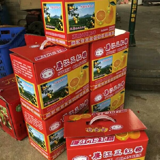 廉江市廉江红橙 55mm以下 4-8两