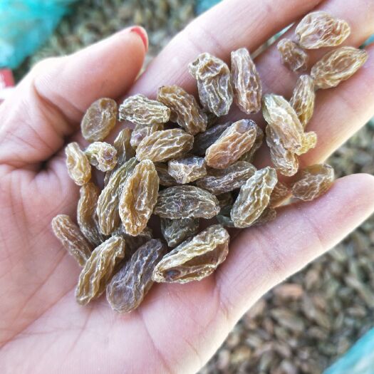 沧县白葡萄干 一等 