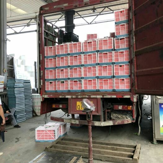 重庆市塑料筐 