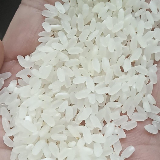 舒兰市东北大米 绿色食品 晚稻 二等品