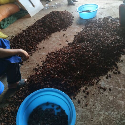 龙州县 八角，无硫磺烫水
