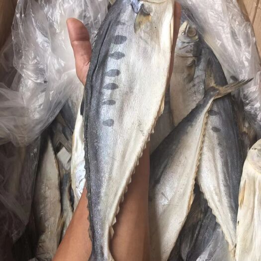 广州马鲛鱼干 