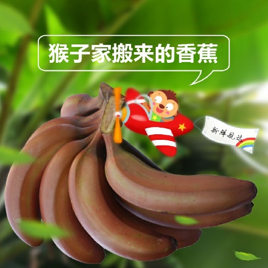 南靖县福建南靖红皮香蕉红香蕉美人蕉火龙蕉贵妃蕉醉美人香蕉