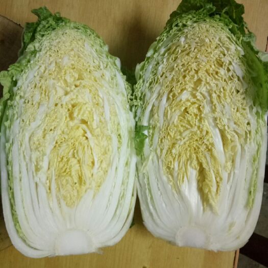 沙洋县黄心大白菜 3-5斤 净菜